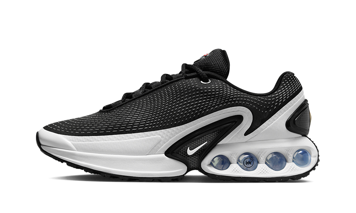 Air Max Dn "Black / White" FJ3145 002