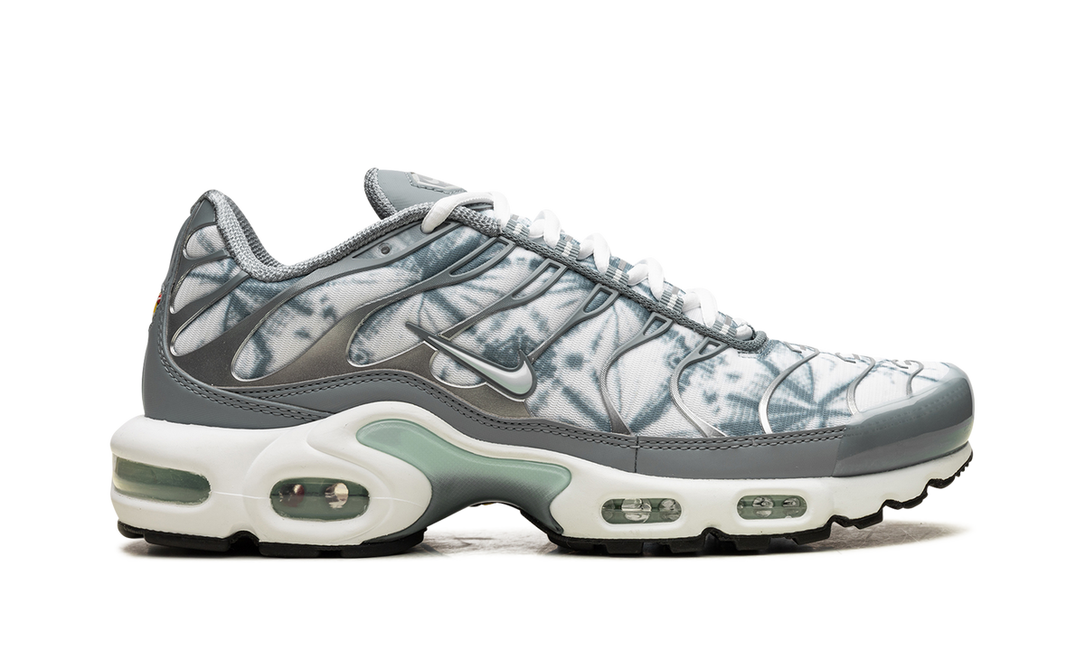 Air Max Plus "Waterway" FV0394 300
